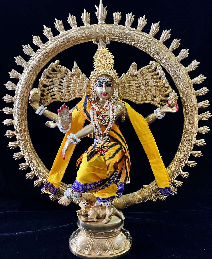 Nataraja Dhoti made of Plain Silk (Not Pure Silk) - Yellow  Dhoti with  Royal  Blue border  and Yellow shalya. Also includes Tiger skin skirt & Shalya