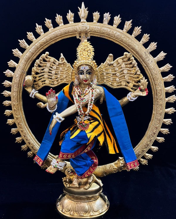 Nataraja Dhoti made of Plain Silk (Not Pure Silk) - Royal Blue  Dhoti with Red border and Royal Blue shalya. Also includes Tiger skin skirt & Shalya