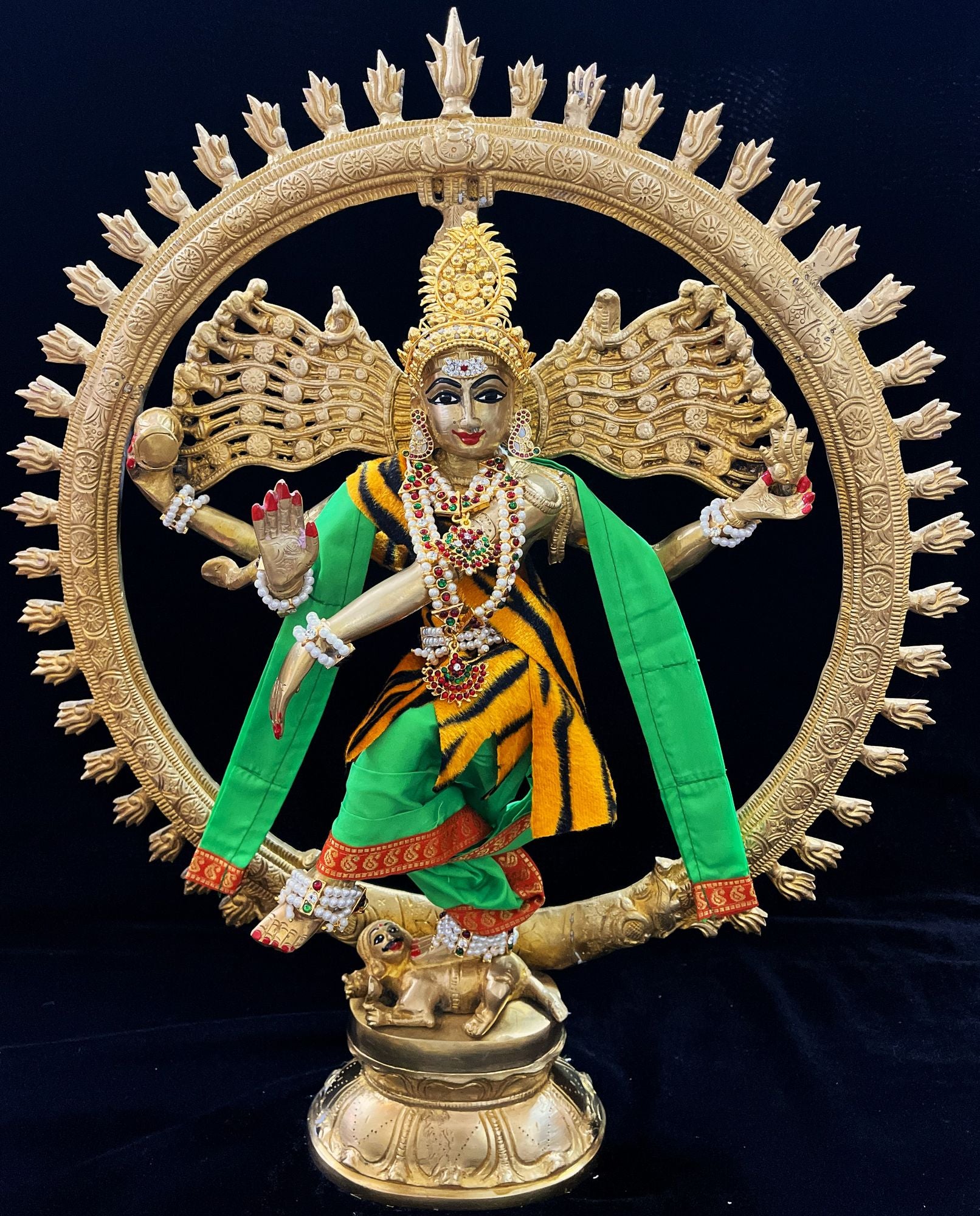 Nataraja Dhoti made of Plain Silk (Not Pure Silk) - Parrot Green Dhoti with Red  border and Parrot Green shalya. Also includes Tiger skin skirt & Shalya 1