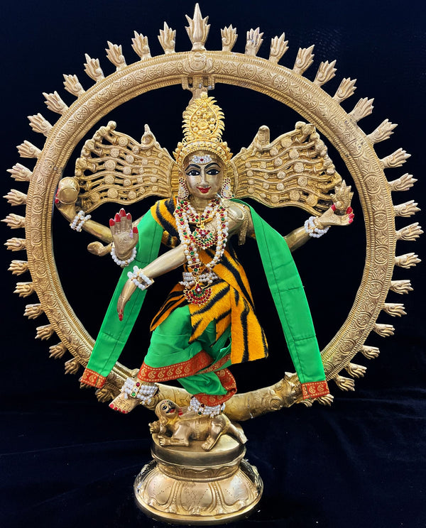 Nataraja Dhoti made of Plain Silk (Not Pure Silk) - Parrot Green Dhoti with Red  border and Parrot Green shalya. Also includes Tiger skin skirt & Shalya
