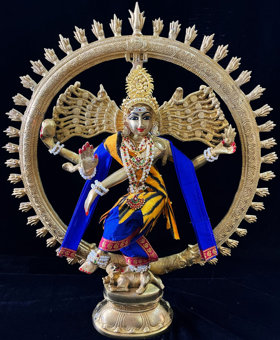 Nataraja Dhoti made of Plain Silk (Not Pure Silk) - Royal Blue with  Pink border and Royal Blue shalya. Also includes Tiger skin skirt & Shalya