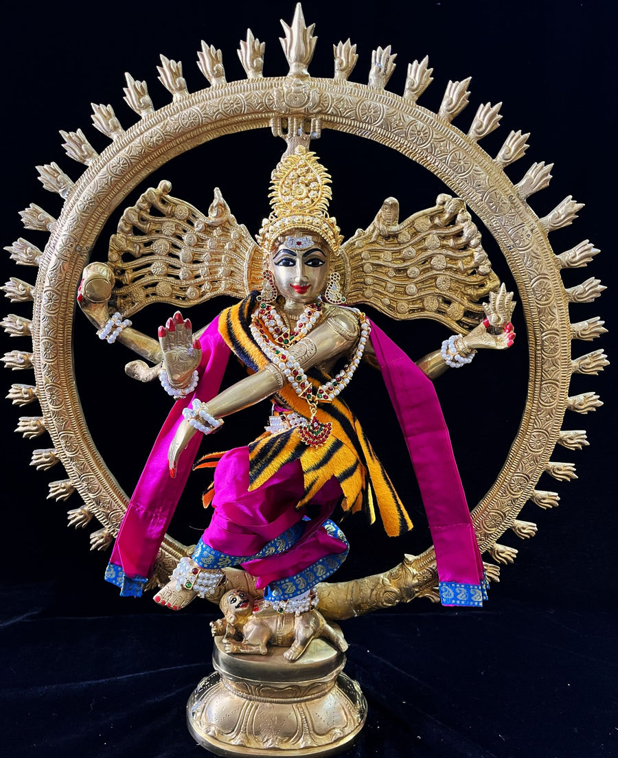Nataraja Dhoti made of Plain Silk (Not Pure Silk) - Rani Pink Dhoti with Sky Blue border and Rani Pink shalya. Also includes Tiger skin skirt & Shalya