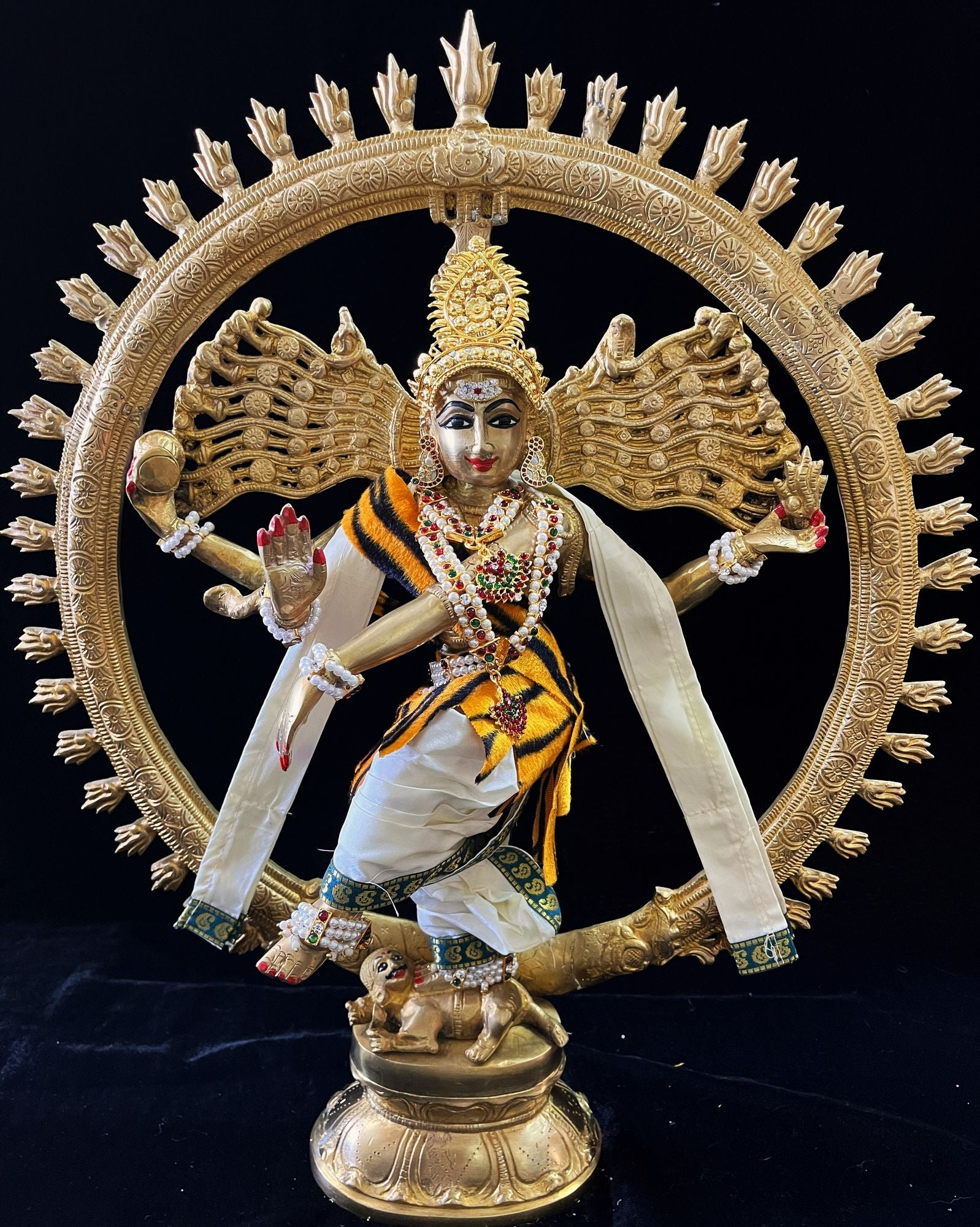 Nataraja Dhoti made of Plain Silk (Not Pure Silk) - Off White Dhoti with Peacock Blue border and Off White shalya. Also includes Tiger skin skirt & Shalya 1