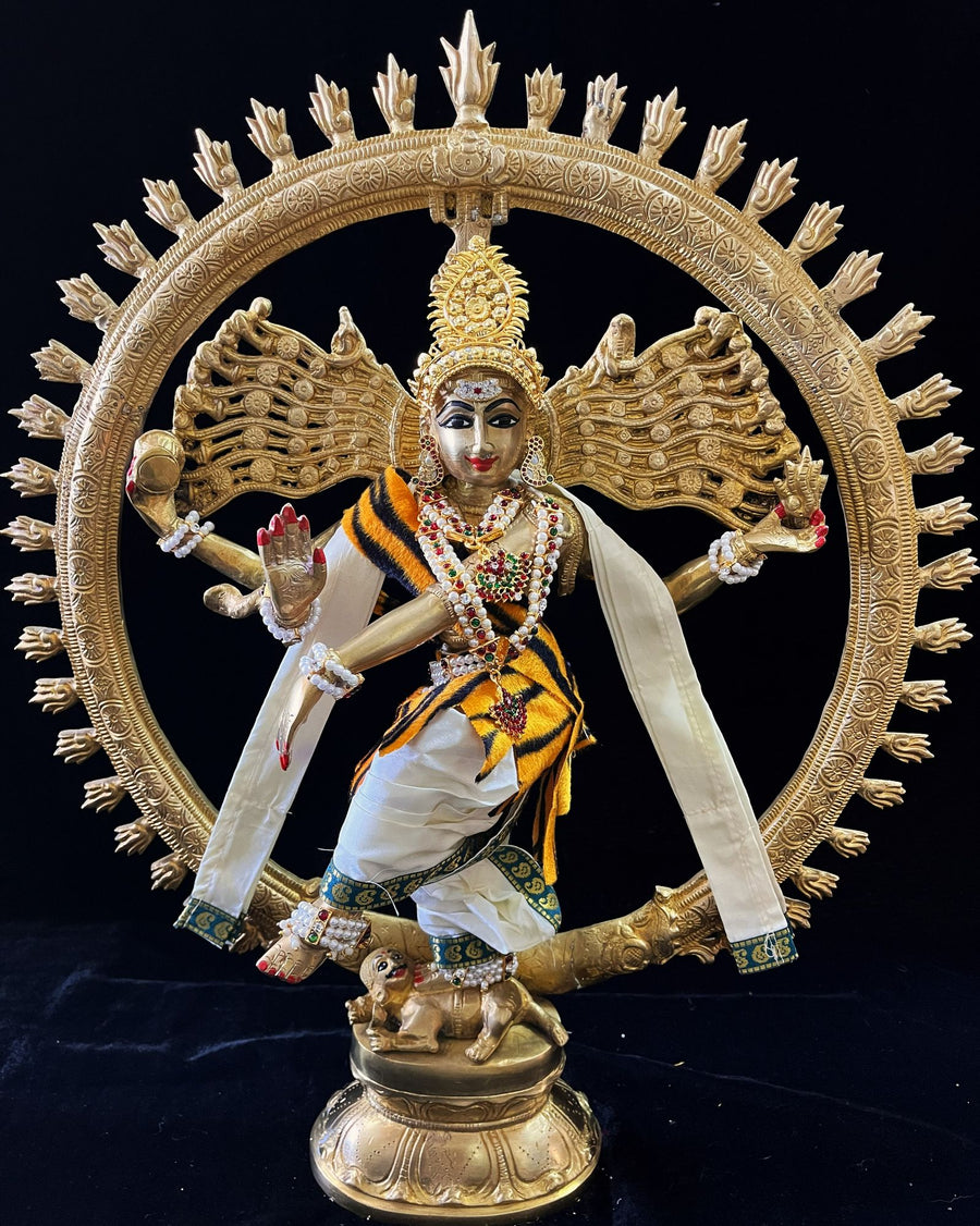 Nataraja Dhoti made of Plain Silk (Not Pure Silk) - Off White Dhoti with Peacock Blue border and Off White shalya. Also includes Tiger skin skirt & Shalya