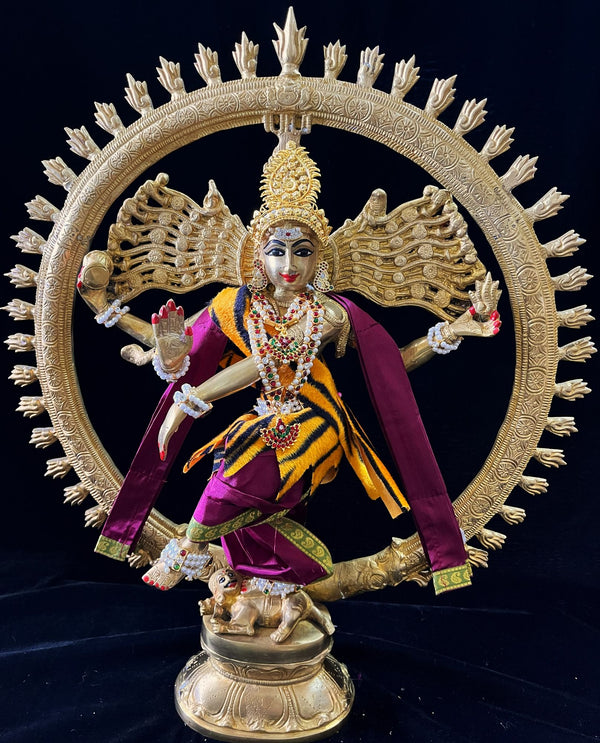 Nataraja Dhoti made of Plain Silk (Not Pure Silk) - Maroon Dhoti with Sap Green  border and Maroon shalya. Also includes Tiger skin skirt & Shalya
