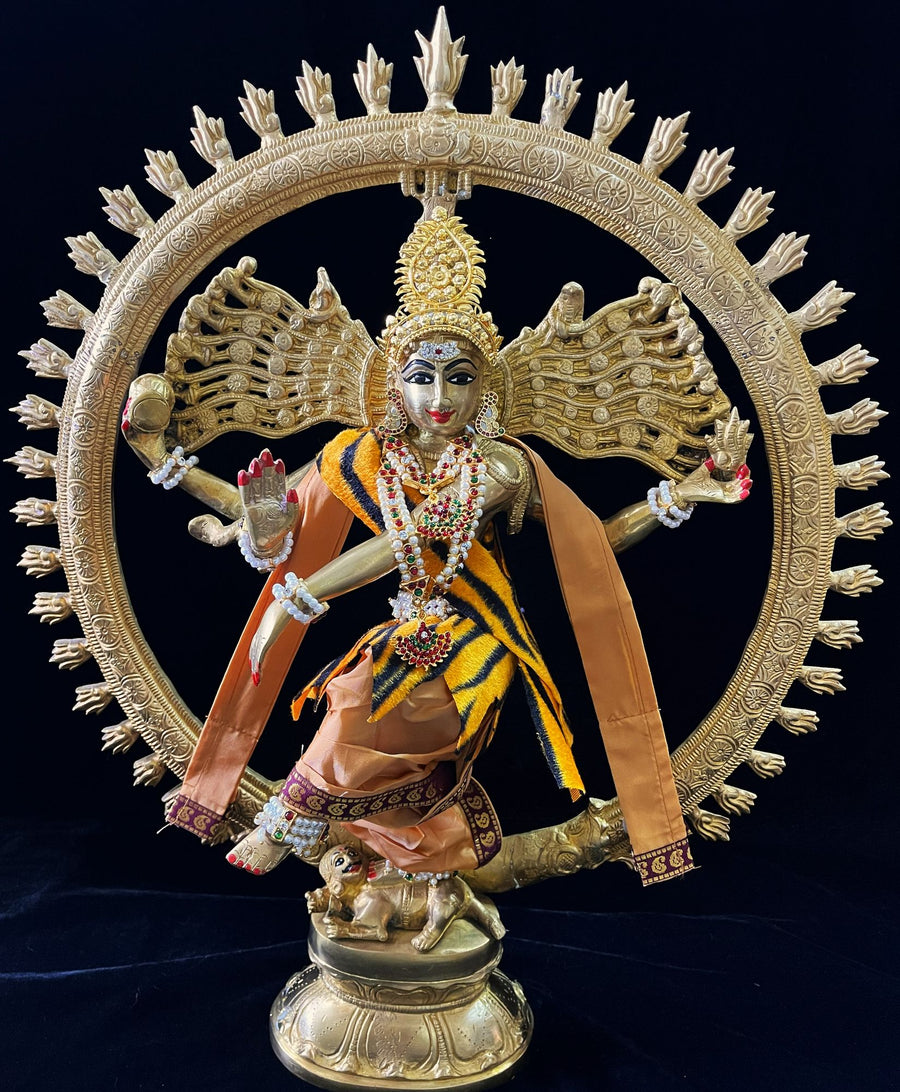 Nataraja Dhoti made of Plain Silk (Not Pure Silk) - Mustard Dhoti with Maroon border and Mustard shalya. Also includes Tiger skin skirt & Shalya