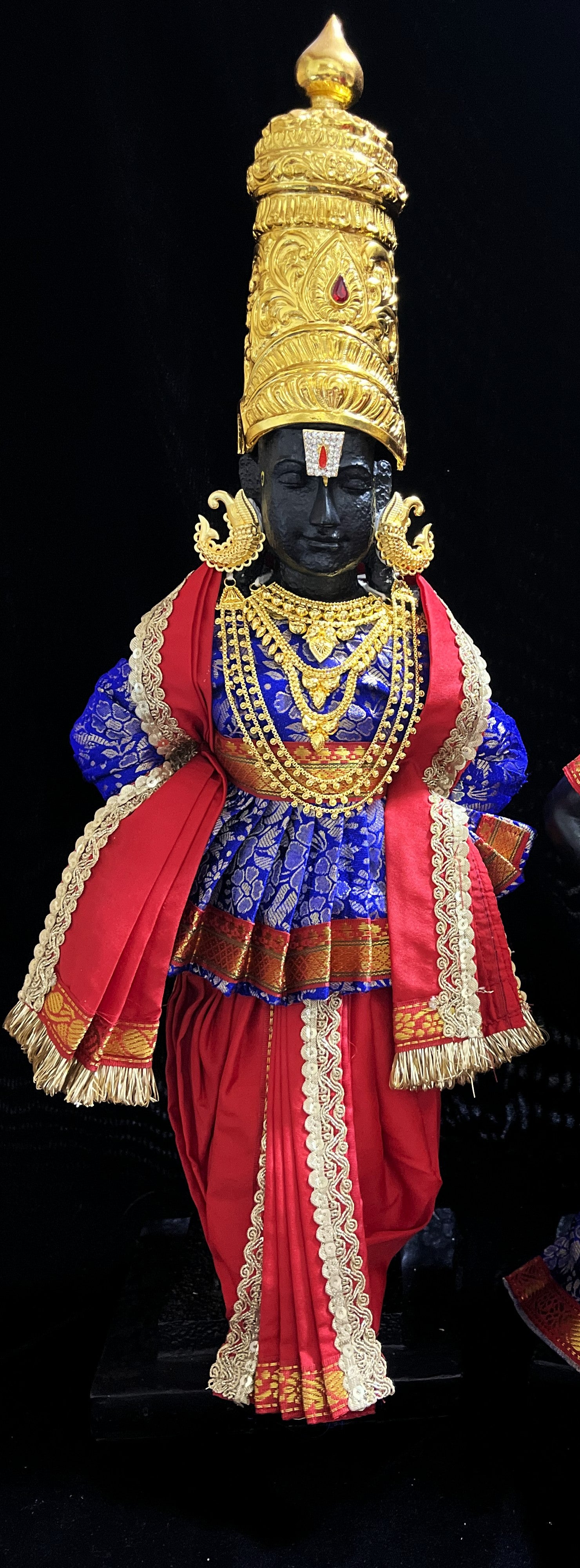 Angharkha dhoti  Patka/shalya, made of  Brocade Silk (not pure silk) - Royal Blue pre-plated & pre-stiched Angarkha Saree with Red Contrast dhoti and shalya