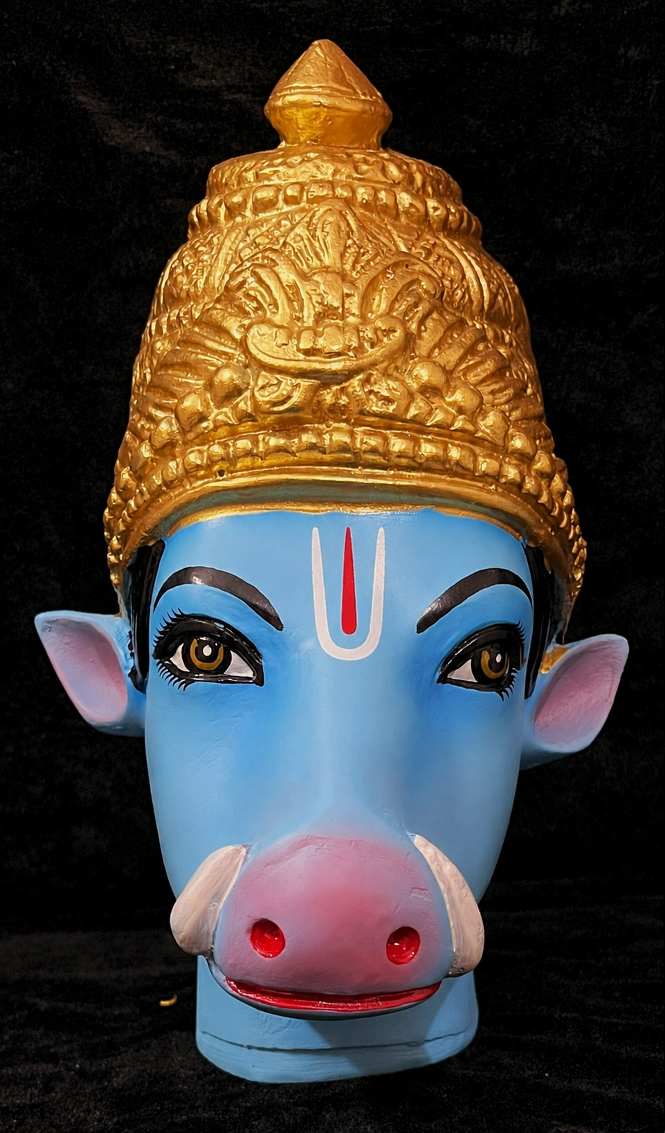 Premium Varaha Fiber Full Face without Jewellery – 10.5 Inch (cannot be tied to coconut) 1